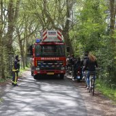 Grote tak breekt af Westeinde Noordwijkerhout